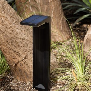 Sodo šviestuvas Dragos, pakraunamas nuo saulės, 80lm, IP54